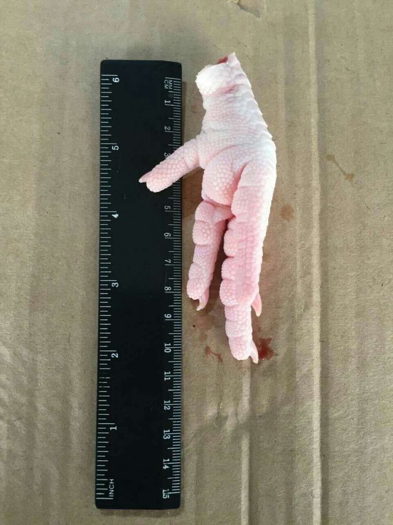 俄罗斯直采031—012—047厂正关鸡爪