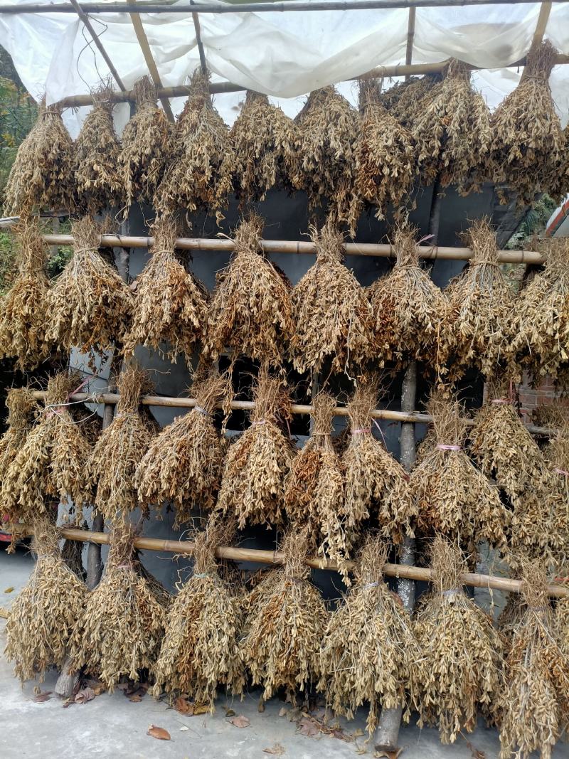 黄豆，黄大豆，高山精品黄豆