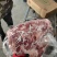 带颈前排，一箱四十斤，价格便宜货源充足下单请咨询！