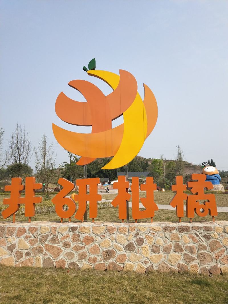 四川乐山井研88号农场春见耙耙柑12月10日上市