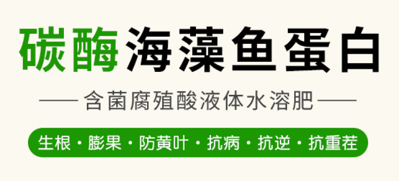 《推荐》碳酶—海藻鱼蛋白—含菌腐植酸液体水溶肥
