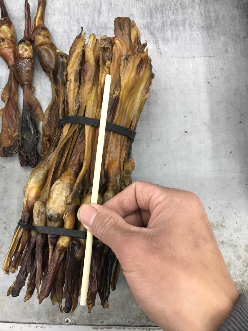 狗鞭整只狗鞭天然晾晒无杂质一手货源