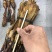 狗鞭整只狗鞭天然晾晒无杂质一手货源