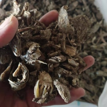 优质鱼干小杂鱼批发商
