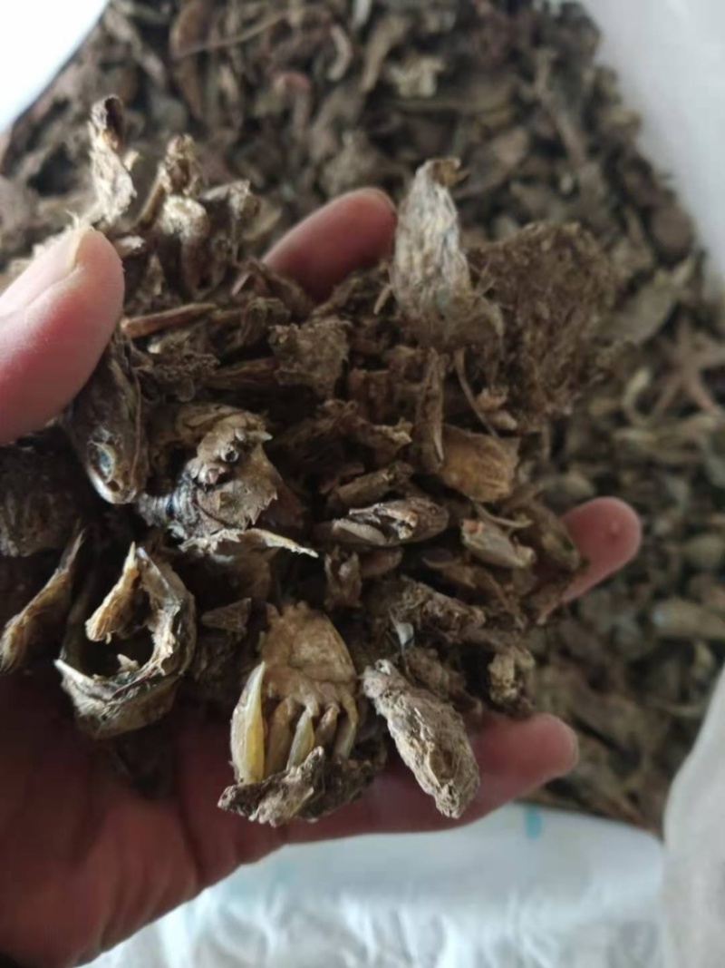 优质鱼干小杂鱼批发商