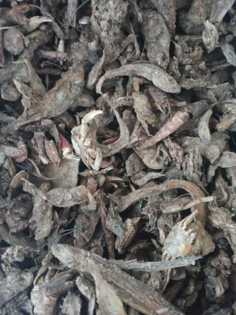 优质鱼干小杂鱼批发商