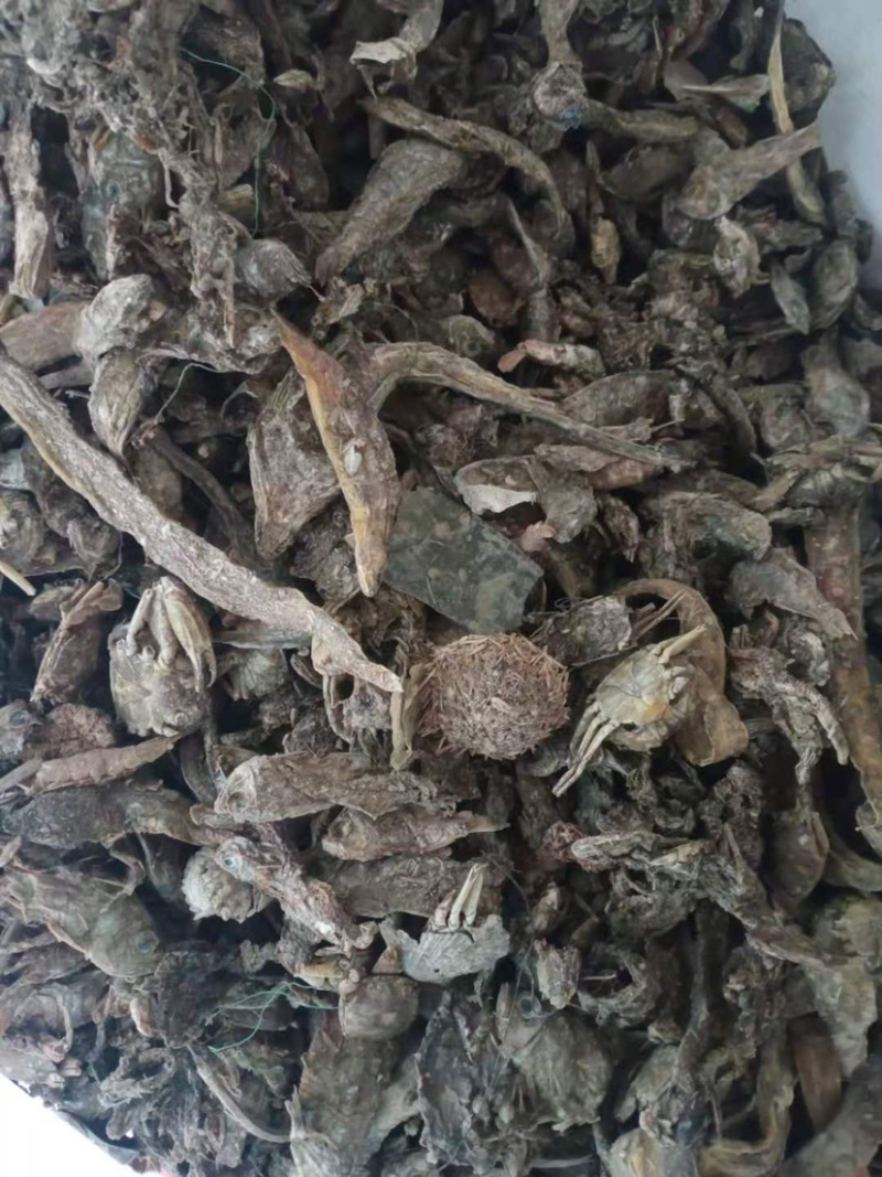 优质鱼干小杂鱼批发商
