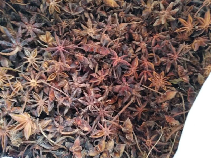 广西柳州大瑶山大红八角香料