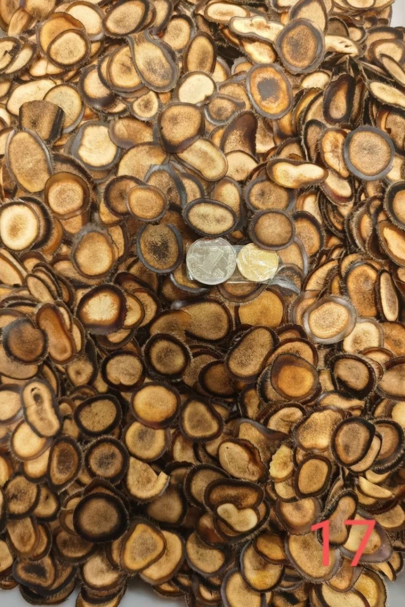半腊片鹿茸片半腊片鹿角片东北吉林鹿场直发包邮