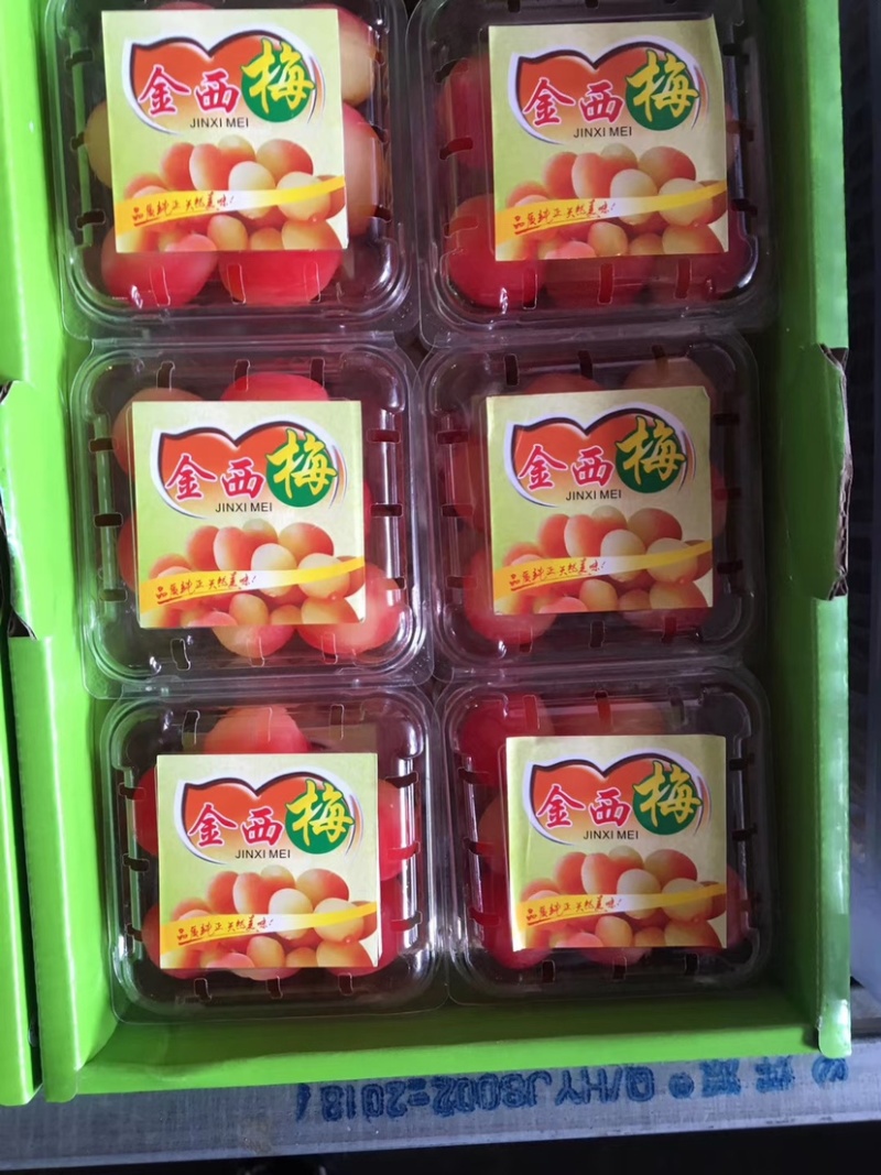 金西梅，黄金果礼盒装，厂家直销，欢迎选购