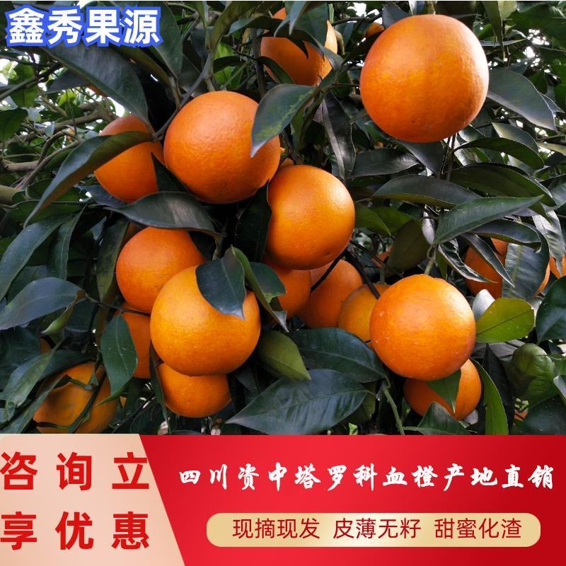 资中橙子塔罗科血橙皮薄无籽化渣甜蜜水分充足专业诚信视频看