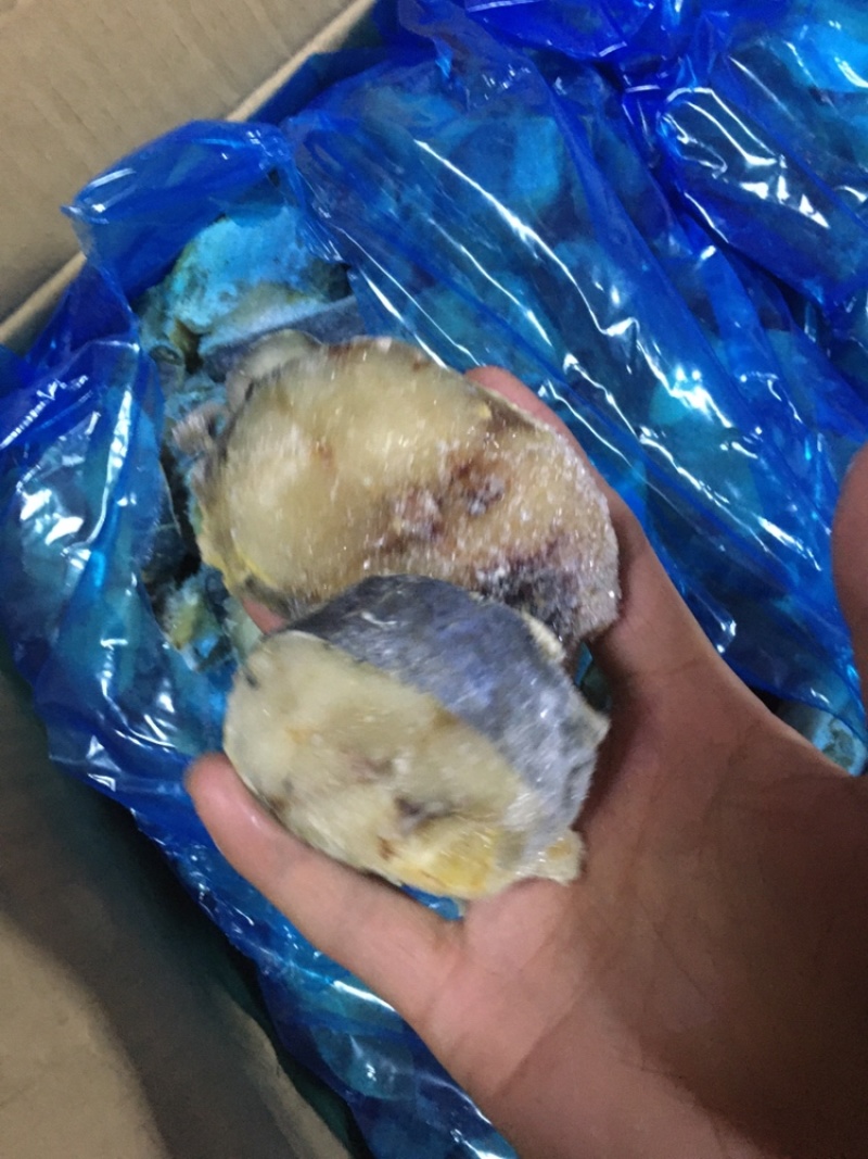 马鲛鱼都是新鲜马鲛鱼马鲛鱼切片鲜切马鲛鱼片