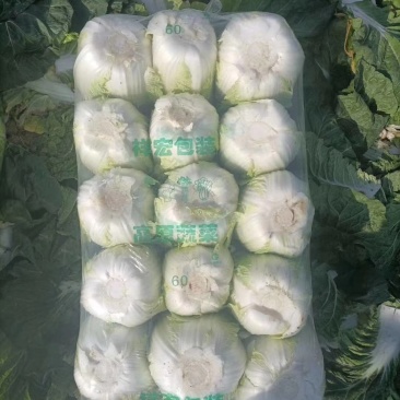 新野黄心小白菜，个头3-4斤。产地直销，量大从优欢迎咨询