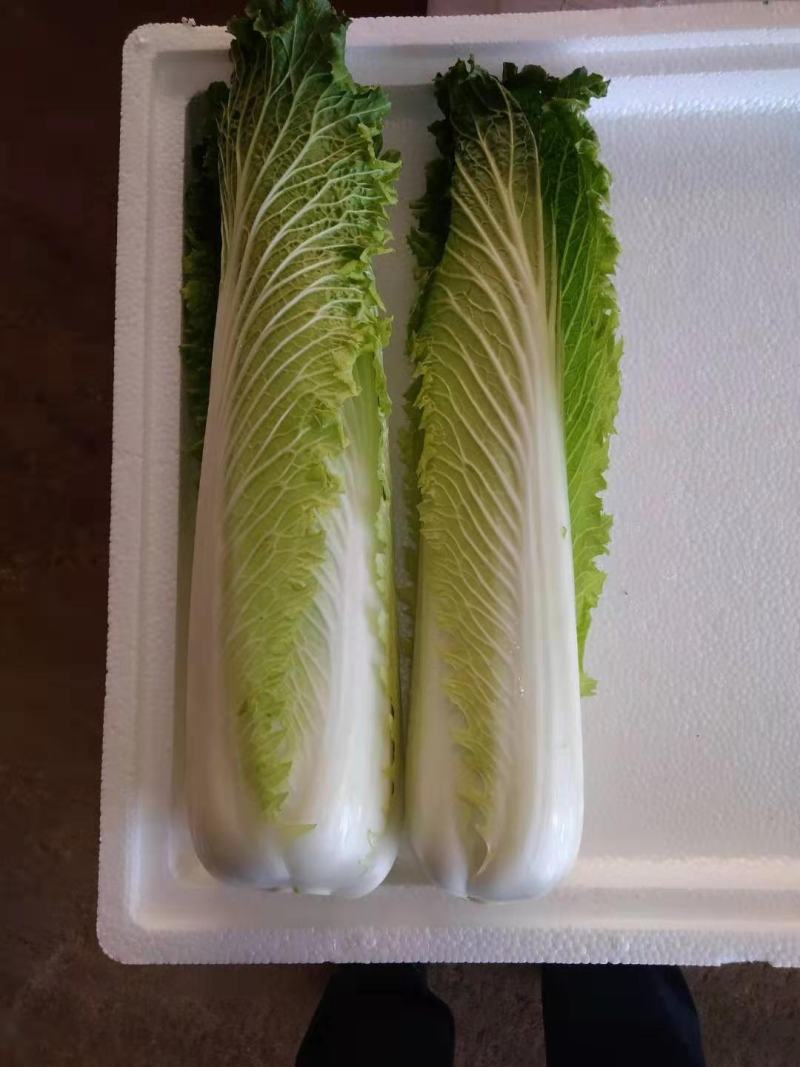 云南精品竹筒青，绍菜量大质量好。毛菜平均一公斤七八。