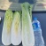 云南精品竹筒青，绍菜量大质量好。毛菜平均一公斤七八。