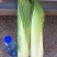 云南精品竹筒青，绍菜量大质量好。毛菜平均一公斤七八。