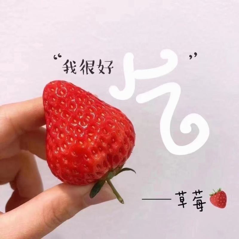 批发代办丹东99草莓东港红颜牛奶草新鲜水果基地社区团购