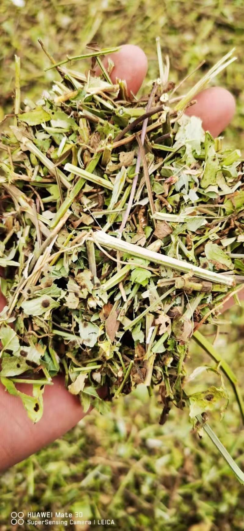 麦秸草，小麦秸秆，牛草全部二次柔丝除尘压块加工