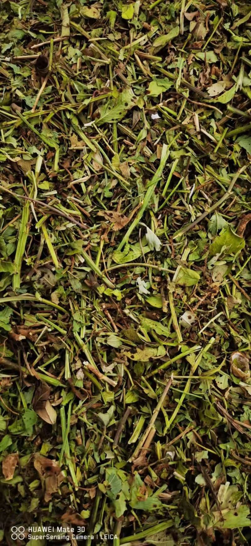 麦秸草，小麦秸秆，牛草全部二次柔丝除尘压块加工