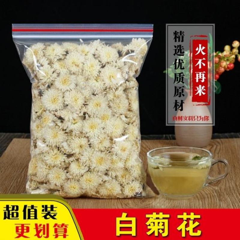 白菊花清热去火农村白菊花