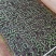 丝瓜质量保证，新客优惠。。。，，，，，，，，，