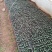 丝瓜质量保证，新客优惠。。。，，，，，，，，，