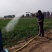 〈包邮）1000目育苗浇水菜花地喷头洒水器农用园艺雾化