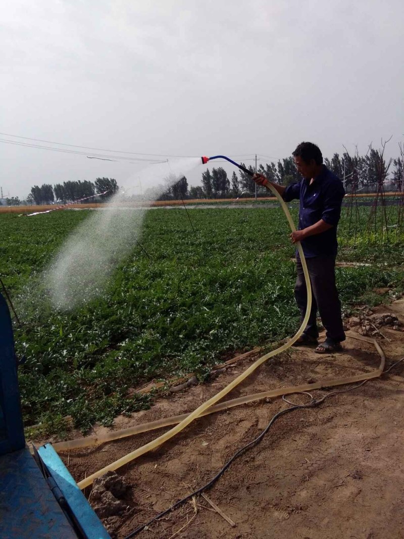 〈包邮）1000目育苗浇水菜花地喷头洒水器农用园艺雾化