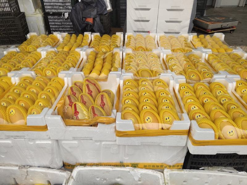 【高碑店新发地-乐航商贸】越南高乐蜜芒果（打盒）