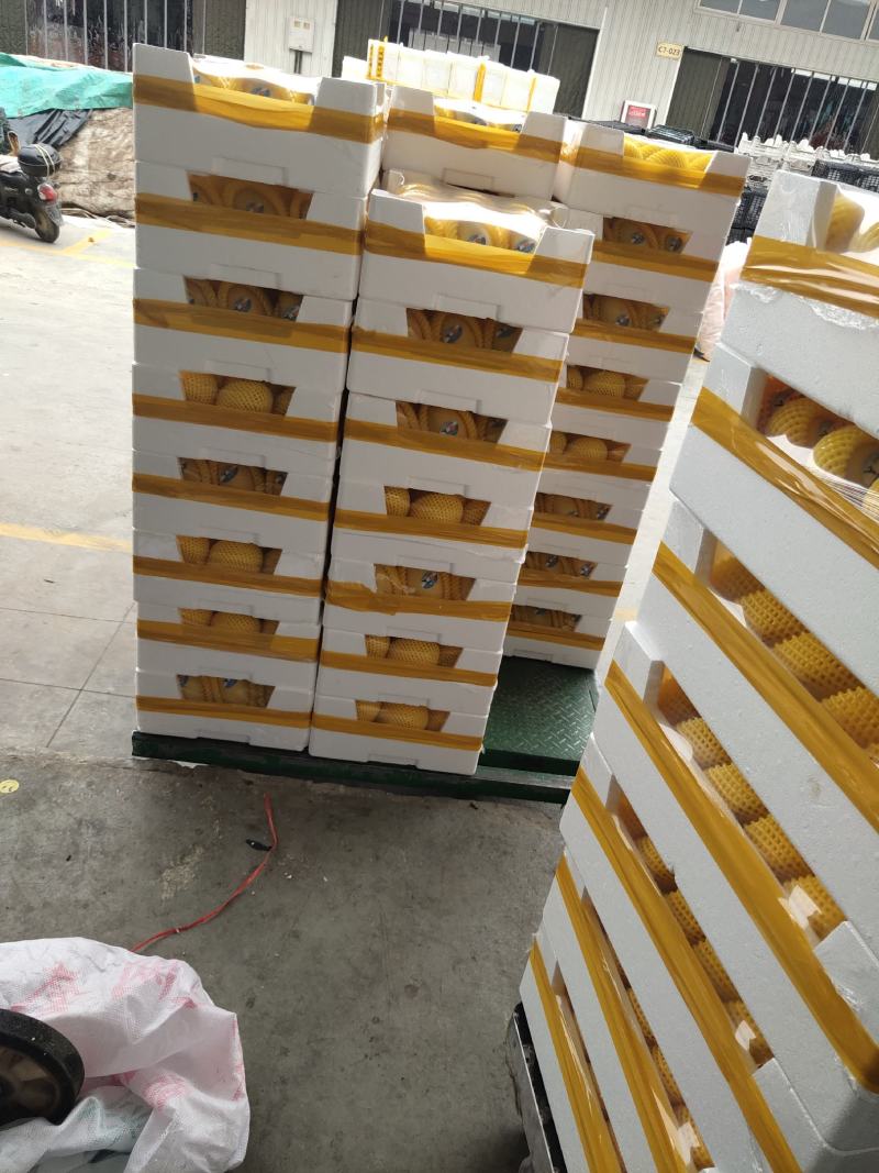 【高碑店新发地-乐航商贸】越南高乐蜜芒果（打盒）