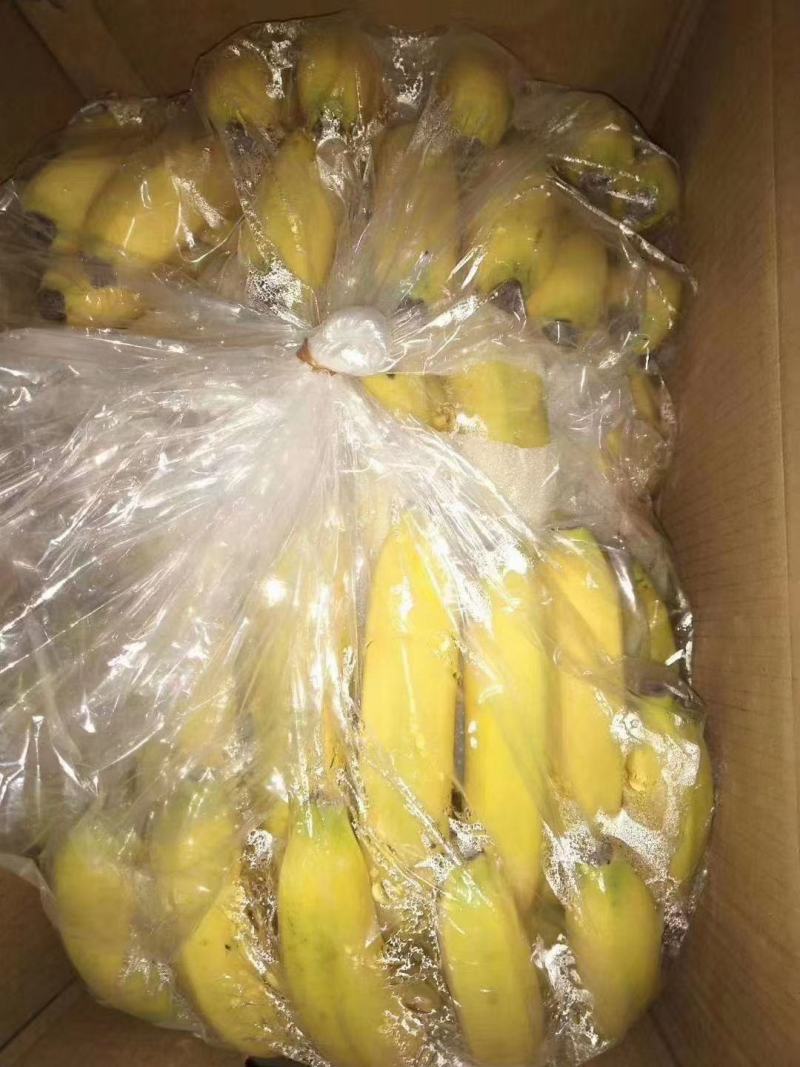不黑心不硬心，广西焦有黑心硬心包退