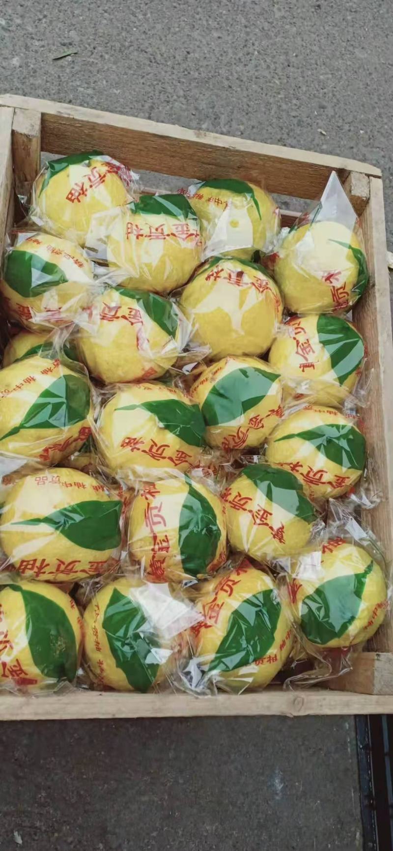 黄金贡柚阳光加密的味道一手货源100天口感越好