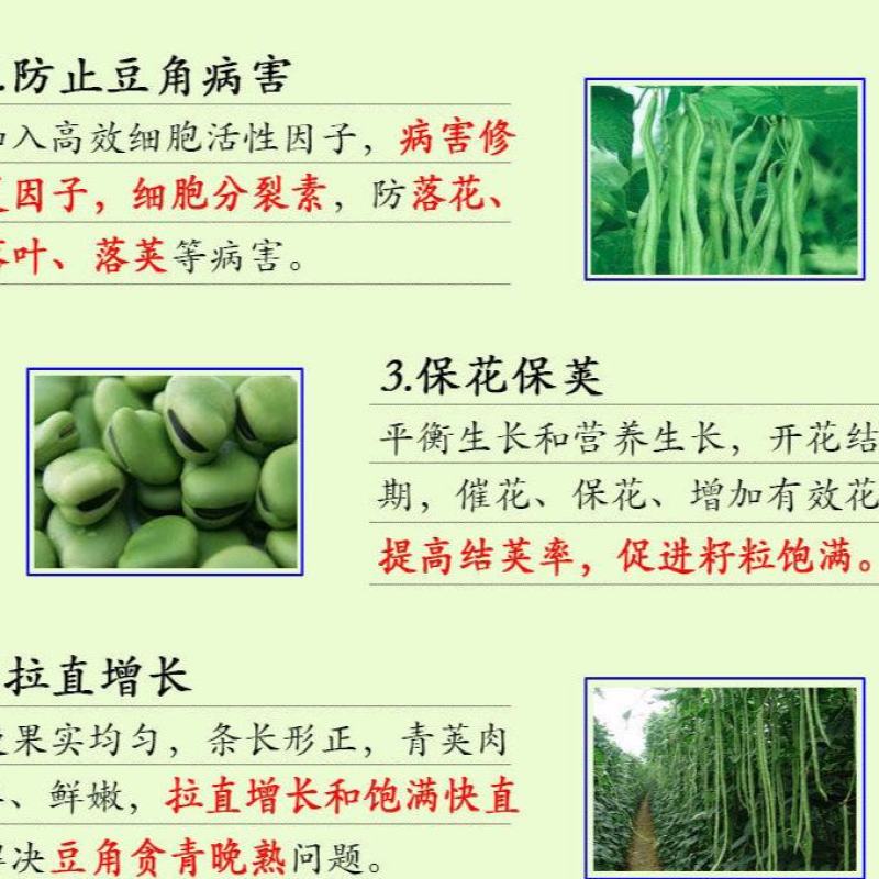 豆角专用叶面肥保花保荚豇豆豌豆芸豆肥料拉直增长钼元素水溶