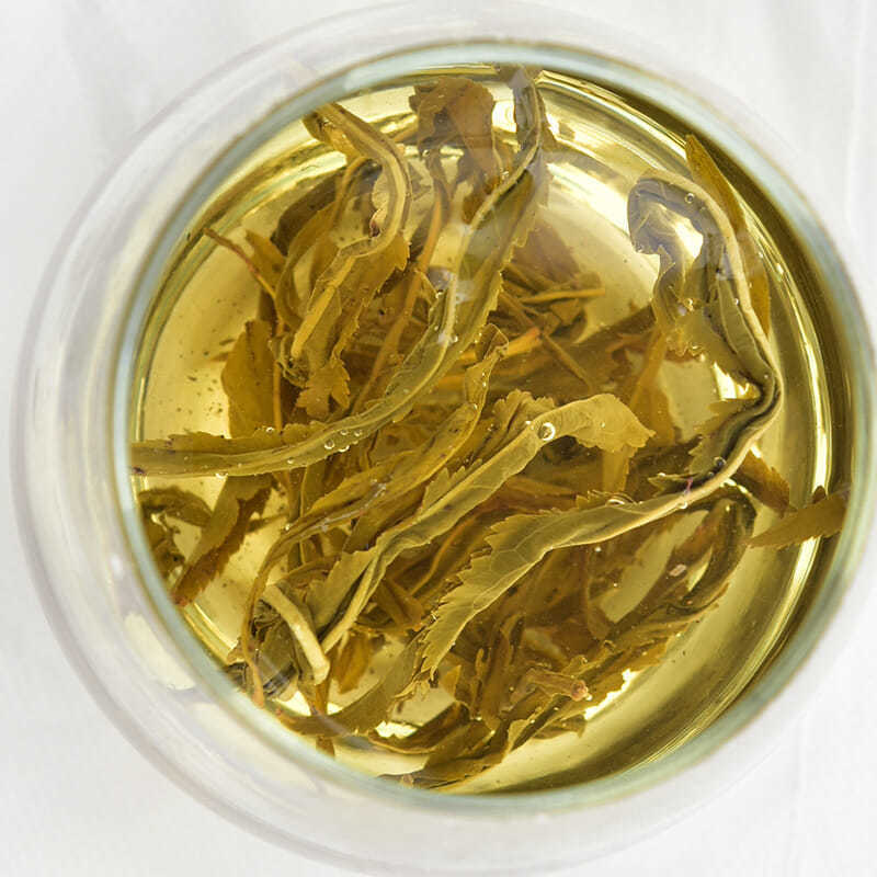 精品赶黄草正品茶批发零售中药材品质保证