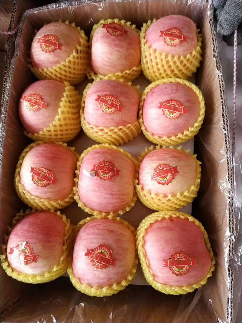 山东省红富士苹果产地直销，坏果包赔电商平台全国发货