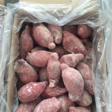 速冻新鲜羊宝纯国产的品质保证诚信经营欢迎来电咨询采购