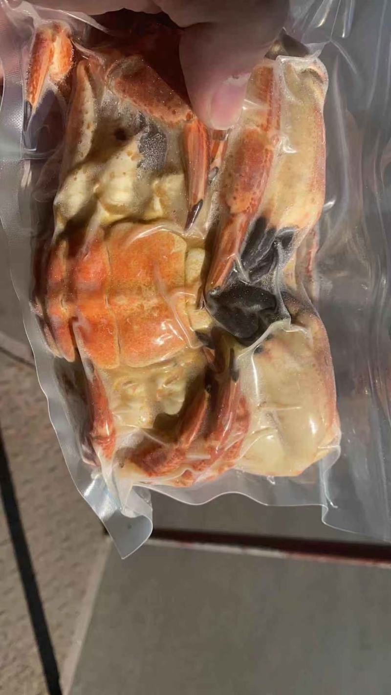 黄金蟹面包蟹海蟹珍宝蟹黄道蟹海鲜活体熟冻即食新鲜面包蟹