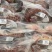 黄金蟹面包蟹海蟹珍宝蟹黄道蟹海鲜活体熟冻即食新鲜面包蟹