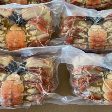 黄金蟹面包蟹海蟹珍宝蟹黄道蟹海鲜活体熟冻即食新鲜面包蟹