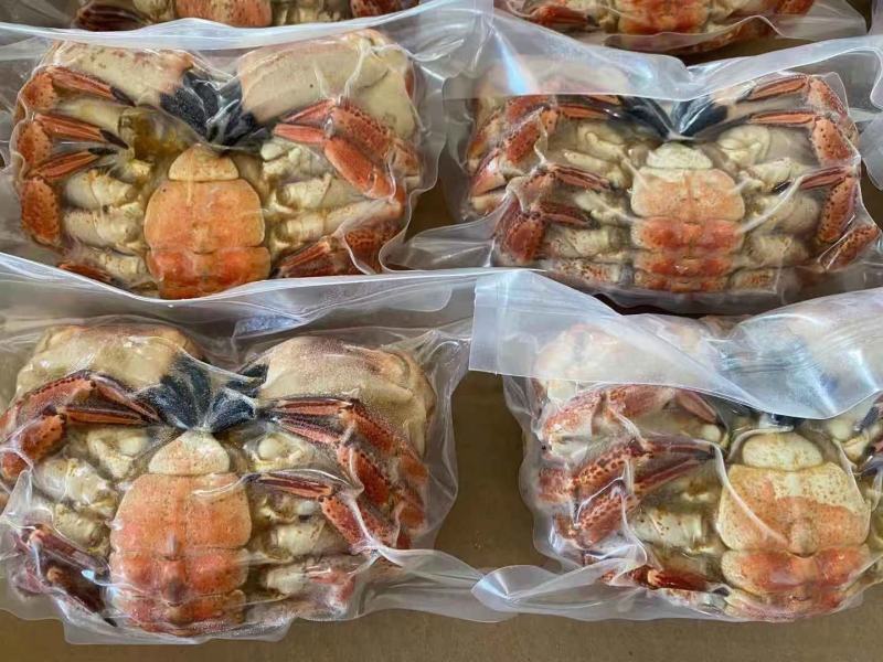 黄金蟹面包蟹海蟹珍宝蟹黄道蟹海鲜活体熟冻即食新鲜面包蟹