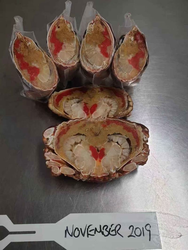 黄金蟹面包蟹海蟹珍宝蟹黄道蟹海鲜活体熟冻即食新鲜面包蟹