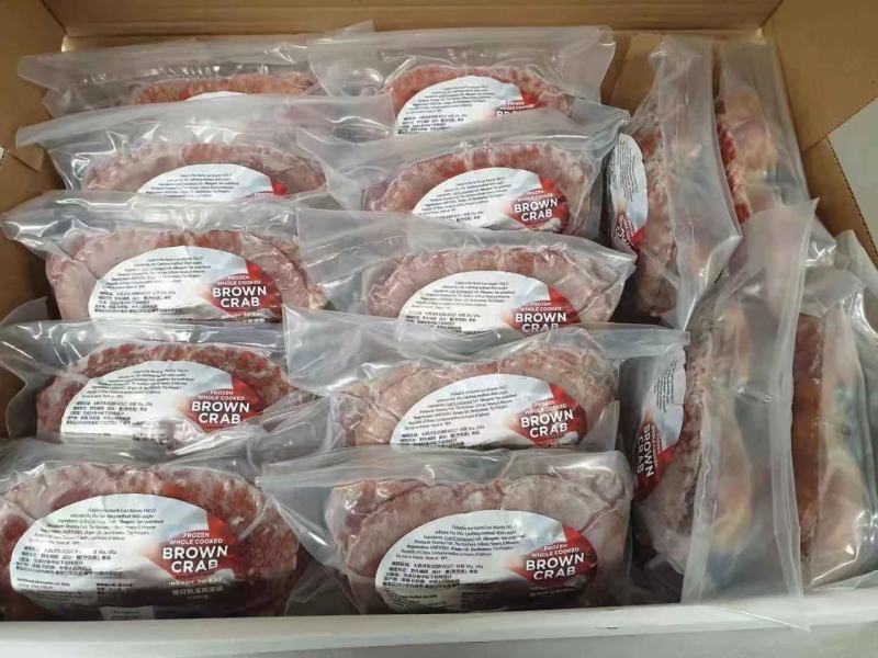 黄金蟹面包蟹海蟹珍宝蟹黄道蟹海鲜活体熟冻即食新鲜面包蟹