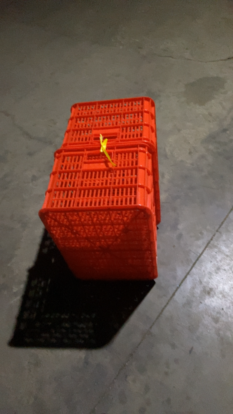 厂家供应纯原料，熟料蔬菜筐，价格实惠质量有保证