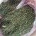 柴胡，柴胡种子，红柴胡种子