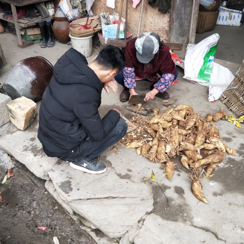 冬笋新鲜现挖湖南野生蔬菜大毛竹笋子尖甜嫩黄泥笋非小春笋干