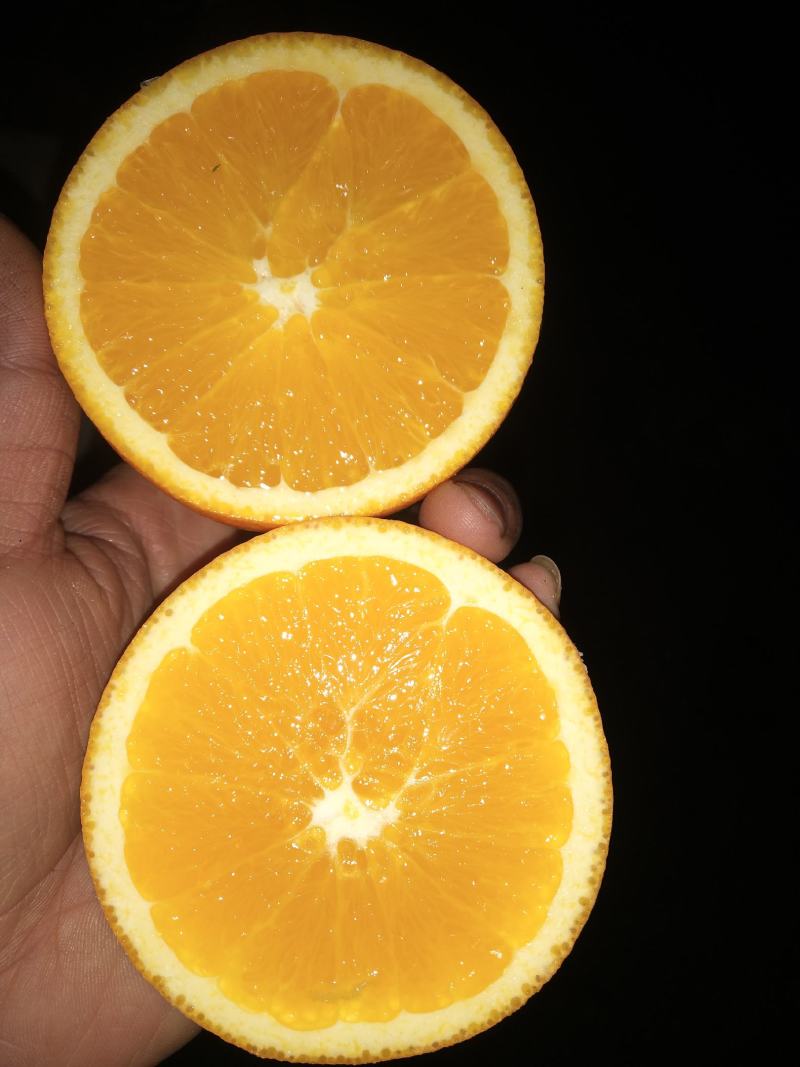 纽荷尔脐橙，万亩大产区皮细肉嫩多汁，无麻点品质优良