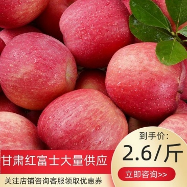 甘肃冰糖心红富士70大量出库中，价格美丽