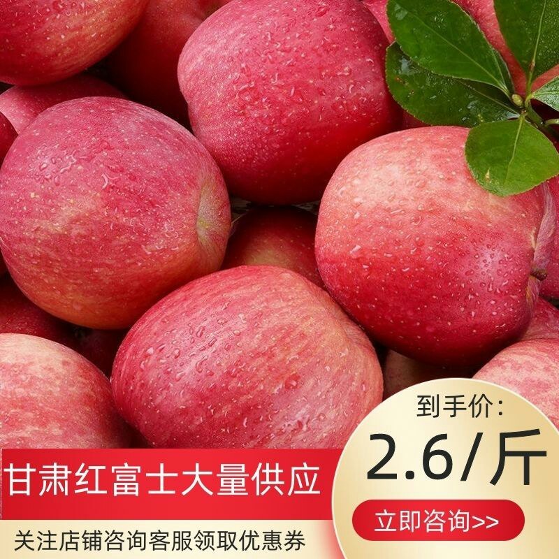 甘肃冰糖心红富士70大量出库中，价格美丽