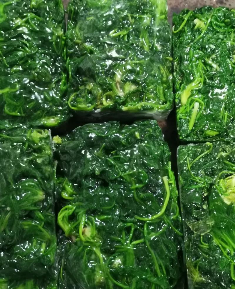 荠菜质量很好无根、无黄叶、无杂质！2公斤规格！