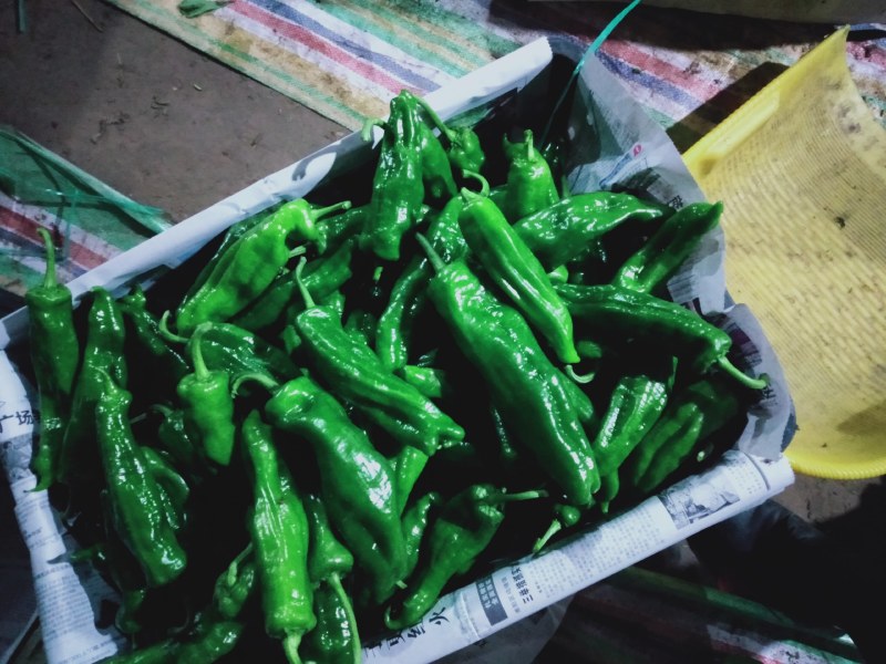 夏邑县大棚薄皮301鲜辣椒，10万亩，代收代发全国各地，